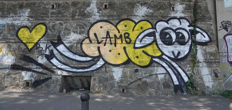 Lamb - Graffiti in Tbilissi © Katrin Tevdorashvili