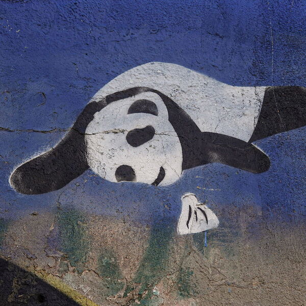 2022_09_16-tbilisi-chugureti-fabrika-panda-with-khinkali-kt-DSC04464-2.jpg