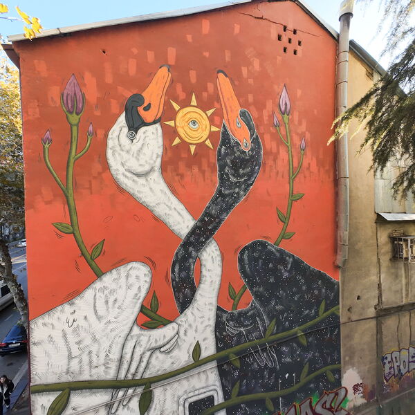2021_10_13-tbilisi-chugureti-II-white-swan-black-swan-ledda-nm-it-0025-s.jpg