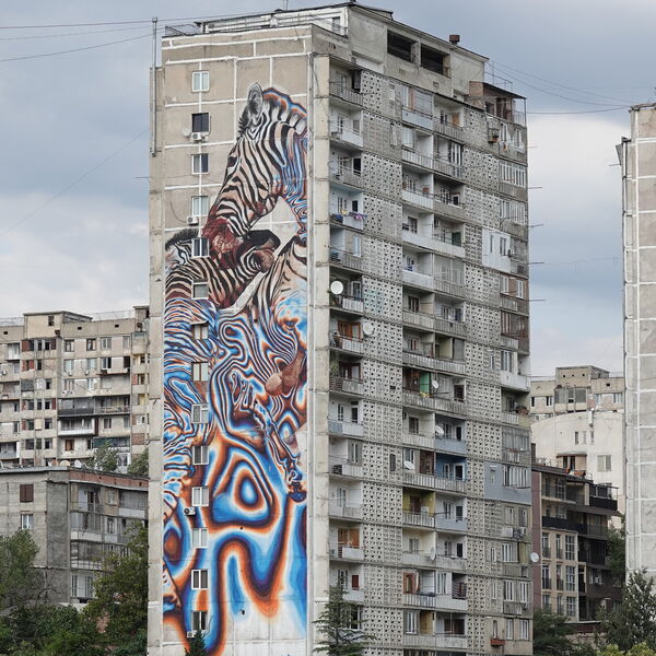 2019_10_10-tbilisi-vake-zebras-snyder-tmf-kt-DSC038623-hero.jpg