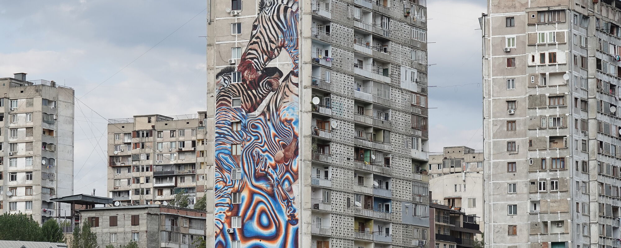 2019_10_10-tbilisi-vake-zebras-snyder-tmf-kt-DSC038623-hero.jpg